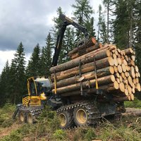 Forwarder zur Holzbringung