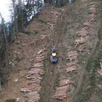 Abholzung von Holzbringung F. Illmaier