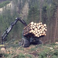 Bloch auf Forwarder aufgeladen