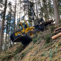 Waldarbeiten in steilem Gelände