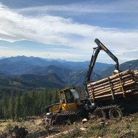 Holzbringung in steilem Gelände