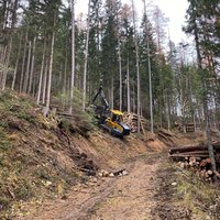 Holzbringung mit dem Forwarder