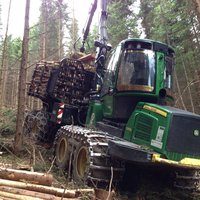 Holzbringung aus steilem Gelände