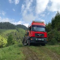 LKW mit Forwarder