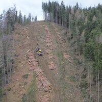 Abholzung arbeiten am Berg von Holzbringung F. Illmaier