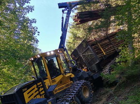 Erstdurchforstungen von Holzbringung F. Illmaier